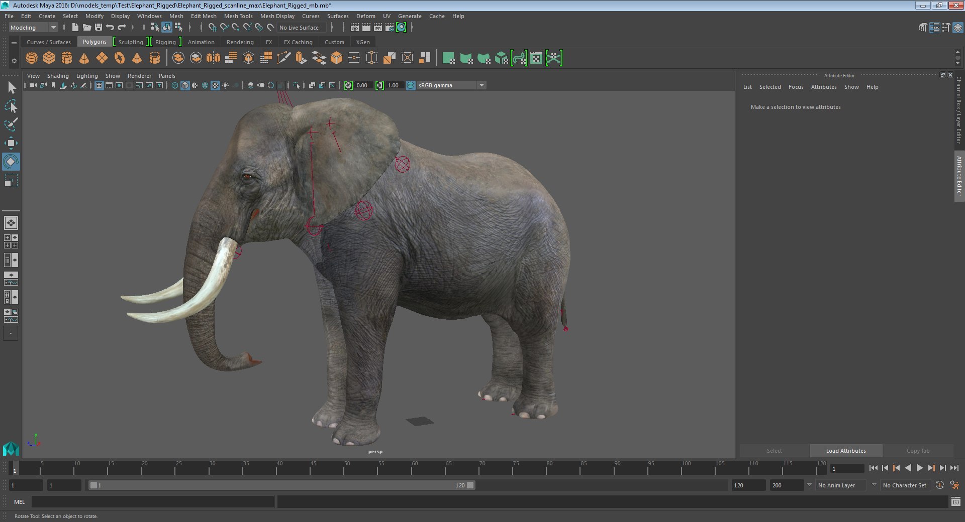 3D Rigged African Animals Collection 11 for Maya model https://p.turbosquid.com/ts-thumb/Oe/gxGc63/9k/rigged_african_animals_collection_11_for_maya_002/jpg/1713018107/1920x1080/fit_q87/fc92f2647babbac6989edd6190e50fd8173ae785/rigged_african_animals_collection_11_for_maya_002.jpg