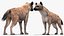 Rigged African Animals Collection 11 für Maya