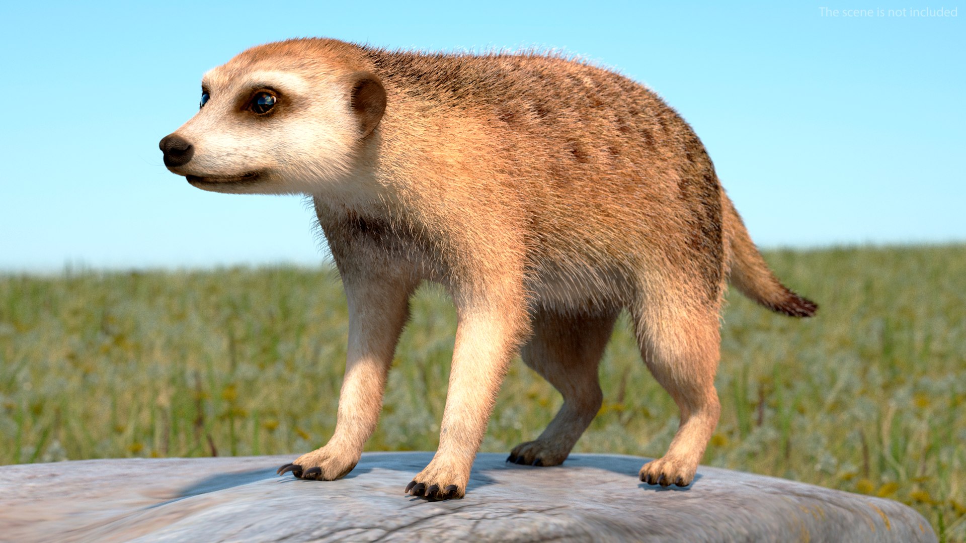 3D Rigged African Animals Collection 11 for Maya model https://p.turbosquid.com/ts-thumb/Oe/gxGc63/BM/rigged_african_animals_collection_11_014/jpg/1713017399/1920x1080/fit_q87/f6fb00b06e537770500ab798ba3b73dc150becad/rigged_african_animals_collection_11_014.jpg