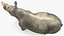 Rigged African Animals Collection 11 für Maya