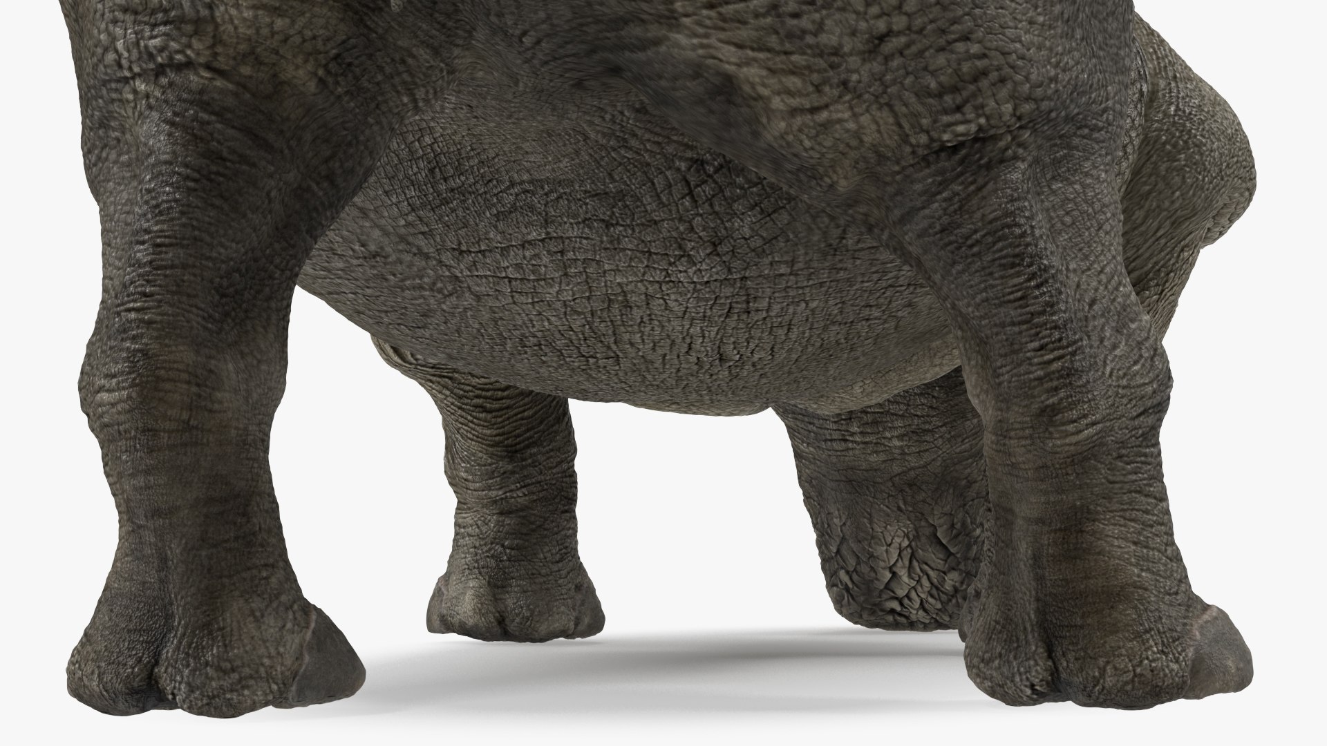 3D Rigged African Animals Collection 11 for Maya model https://p.turbosquid.com/ts-thumb/Oe/gxGc63/FT/rigged_african_animals_collection_11_098/jpg/1713017516/1920x1080/fit_q87/79bc8fa276d8134e5796f8822c64d13a7aac4d4c/rigged_african_animals_collection_11_098.jpg