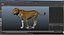 Rigged African Animals Collection 11 für Maya