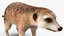 Rigged African Animals Collection 11 für Maya