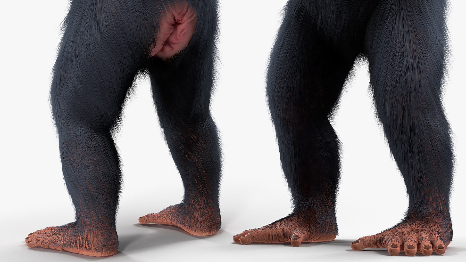 3D Rigged African Animals Collection 11 for Maya model https://p.turbosquid.com/ts-thumb/Oe/gxGc63/Wi/rigged_african_animals_collection_11_125/jpg/1713017545/1920x1080/fit_q87/9121f07296e46dd75b0fcb072f76456cb49c8b46/rigged_african_animals_collection_11_125.jpg