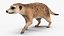 Rigged African Animals Collection 11 für Maya