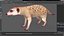 Rigged African Animals Collection 11 für Maya