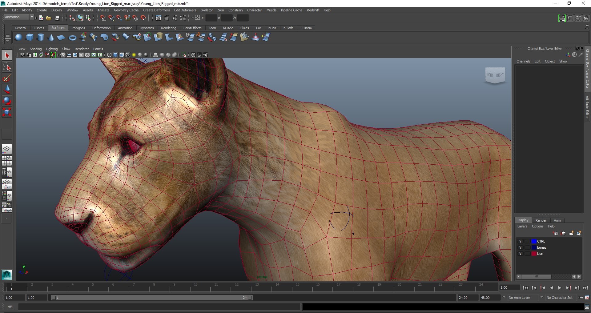 3D Rigged African Animals Collection 11 for Maya model https://p.turbosquid.com/ts-thumb/Oe/gxGc63/eV/rigged_african_animals_collection_11_for_maya_048/jpg/1713018131/1920x1080/fit_q87/ebd282ae6aa7b5a1fa4ac7fea7f05f145475fc3c/rigged_african_animals_collection_11_for_maya_048.jpg