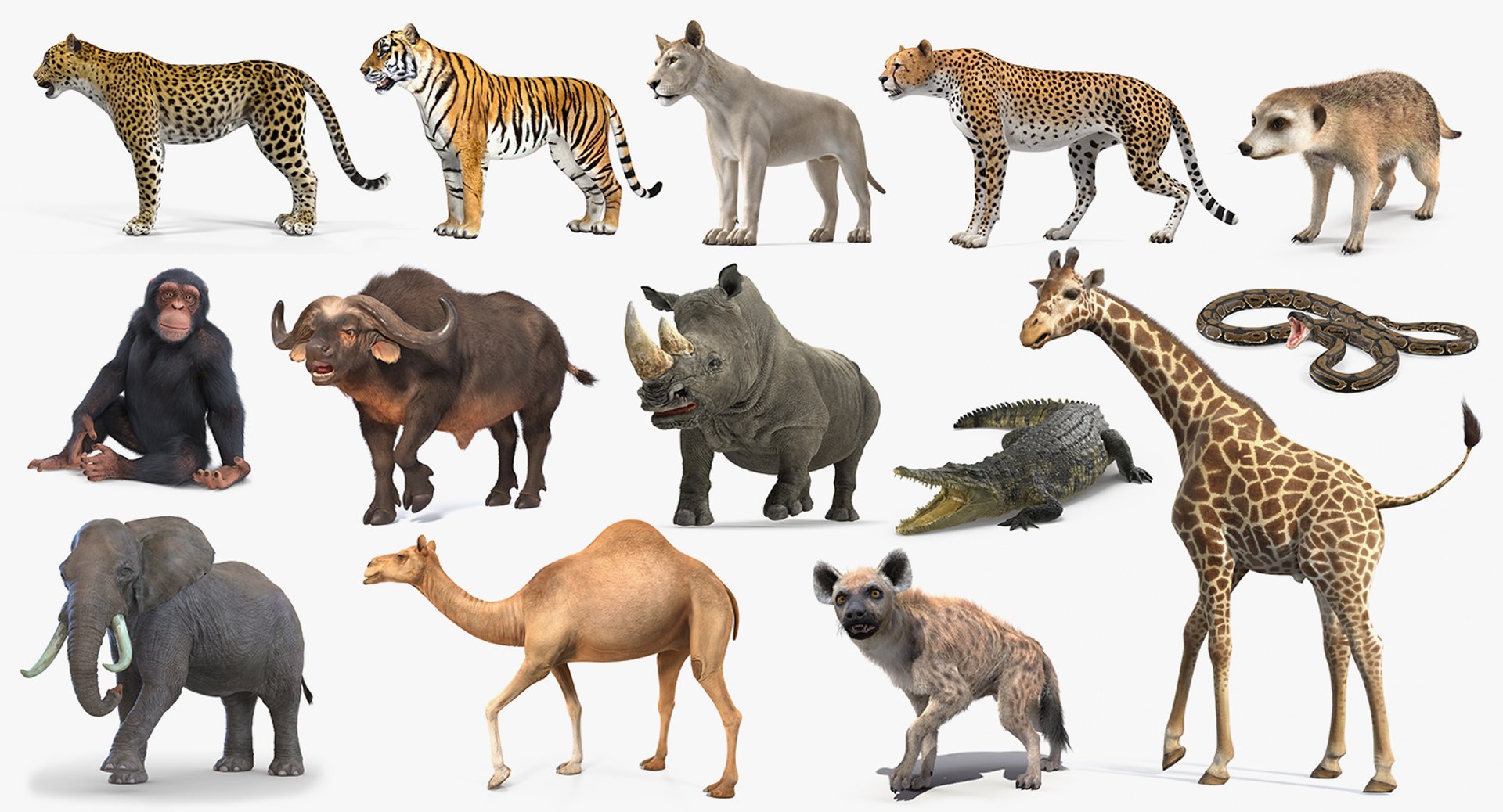 3D Rigged African Animals Collection 11 for Maya model https://p.turbosquid.com/ts-thumb/Oe/gxGc63/g3/rigged_african_animals_collection_11_001/jpg/1713017360/1920x1080/fit_q87/40fd75e7e17f501328e0a5d4faf0f913e126f676/rigged_african_animals_collection_11_001.jpg