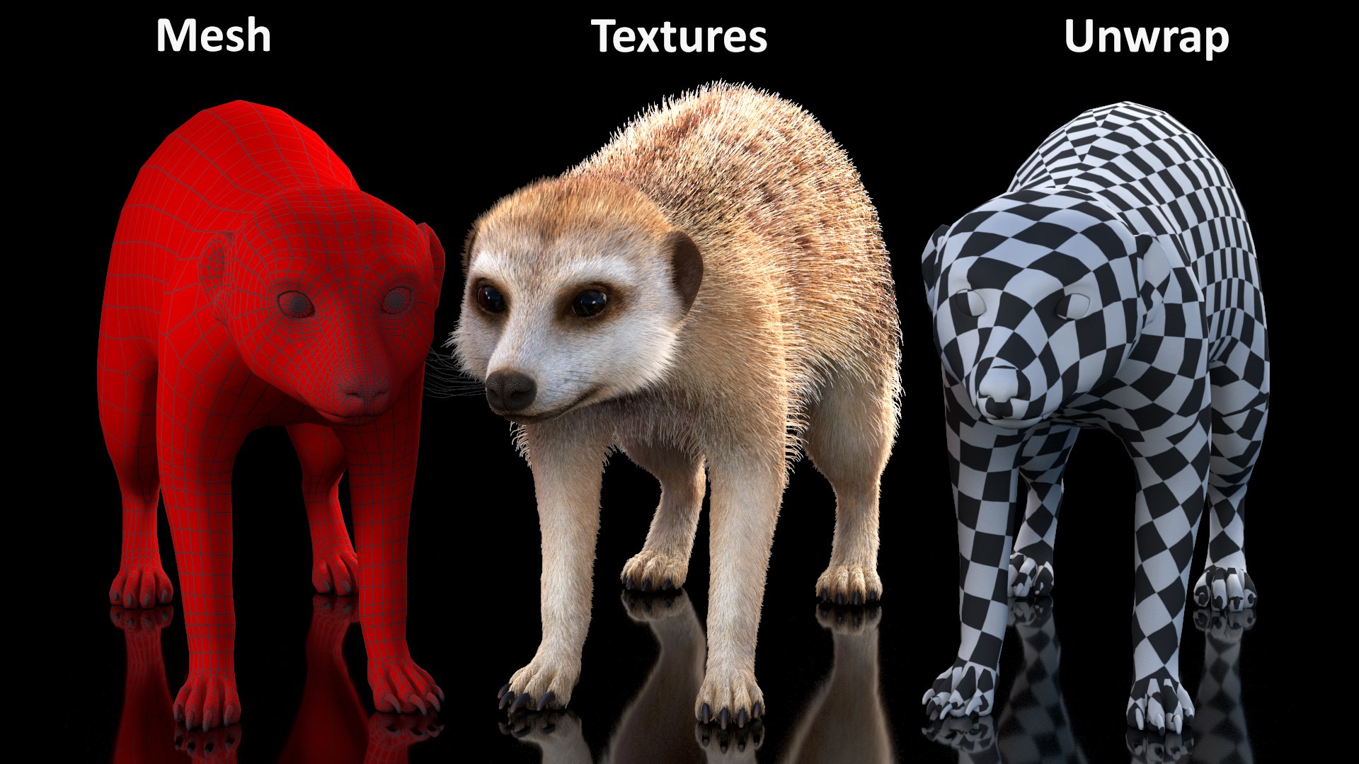 3D Rigged African Animals Collection 11 for Maya model https://p.turbosquid.com/ts-thumb/Oe/gxGc63/ia/rigged_african_animals_collection_11_018/jpg/1713017407/1920x1080/fit_q87/f97cf0d1c4065a34fc97bd8f099d4ac9c183d9ba/rigged_african_animals_collection_11_018.jpg