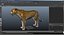 Rigged African Animals Collection 11 für Maya