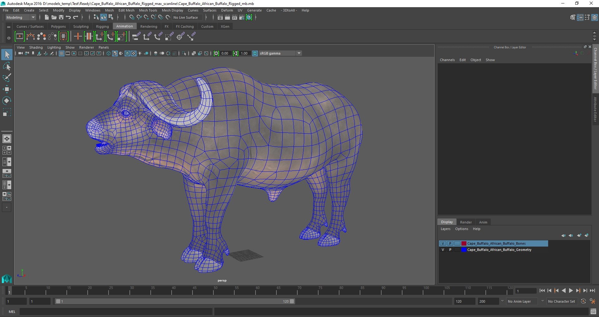 3D Rigged African Animals Collection 11 for Maya model https://p.turbosquid.com/ts-thumb/Oe/gxGc63/pM/rigged_african_animals_collection_11_for_maya_030/jpg/1713018122/1920x1080/fit_q87/d49a10c96cdd7304accd63b27507f87b9ea76adf/rigged_african_animals_collection_11_for_maya_030.jpg