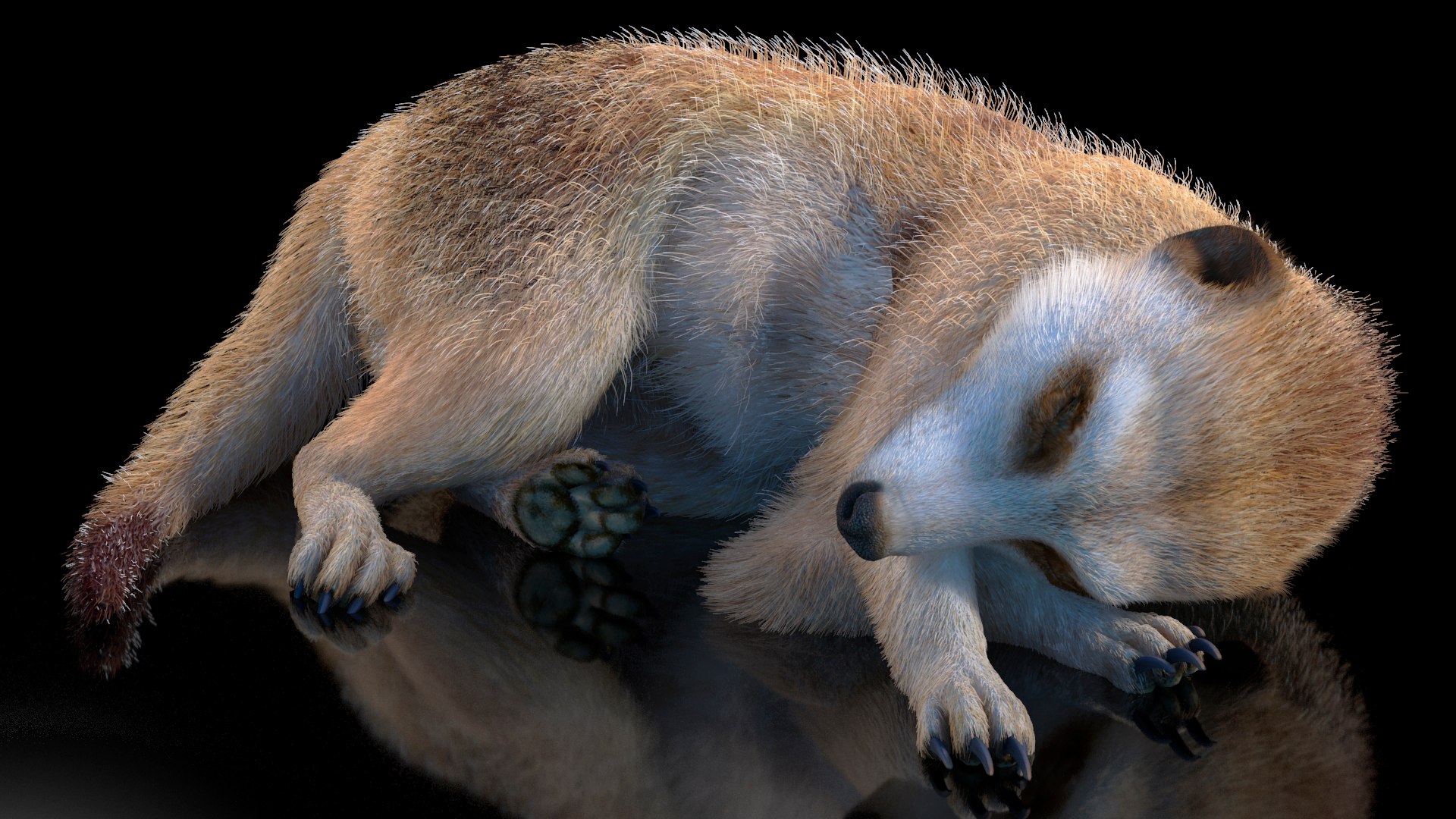 3D Rigged African Animals Collection 11 for Maya model https://p.turbosquid.com/ts-thumb/Oe/gxGc63/rT/rigged_african_animals_collection_11_003/jpg/1713017366/1920x1080/fit_q87/13465ca70df7ece238b053a7a19b7c3b522fb4f9/rigged_african_animals_collection_11_003.jpg