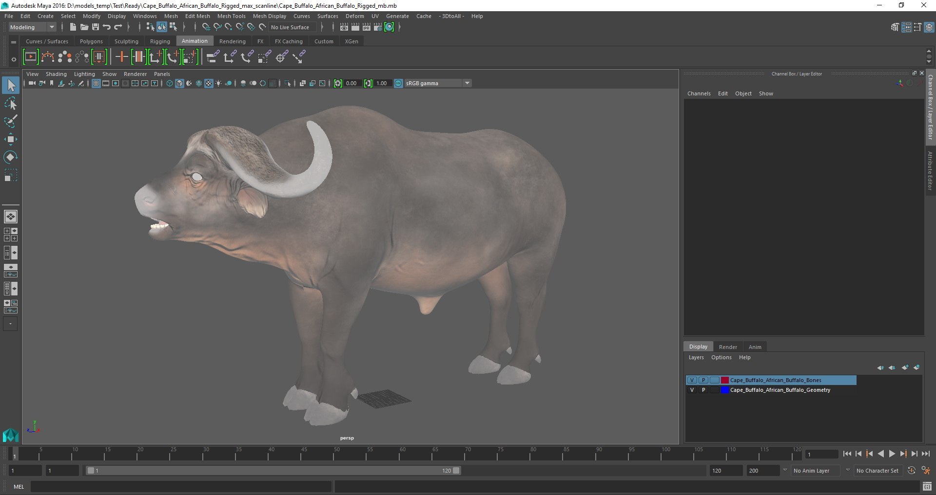 3D Rigged African Animals Collection 11 for Maya model https://p.turbosquid.com/ts-thumb/Oe/gxGc63/y1/rigged_african_animals_collection_11_for_maya_029/jpg/1713018121/1920x1080/fit_q87/93e7db3c22550e31d2af515df70fb39088077623/rigged_african_animals_collection_11_for_maya_029.jpg