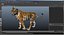 Rigged African Animals Collection 11 für Maya
