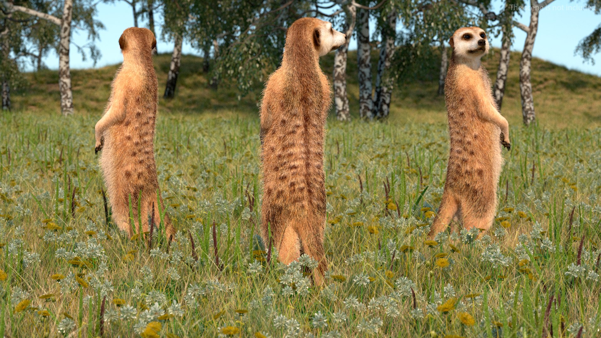 3D Rigged African Animals Collection 11 for Maya model https://p.turbosquid.com/ts-thumb/Oe/gxGc63/zR/rigged_african_animals_collection_11_009/jpg/1713017385/1920x1080/fit_q87/671cd4594d789b563808121a07360f23e43f3f80/rigged_african_animals_collection_11_009.jpg