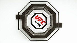UFC MMA Fighting Arena