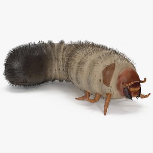 Maggot May Bug Rigged Fur