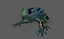 Grenouille à flèches empoisonnées (modèle low-poly)