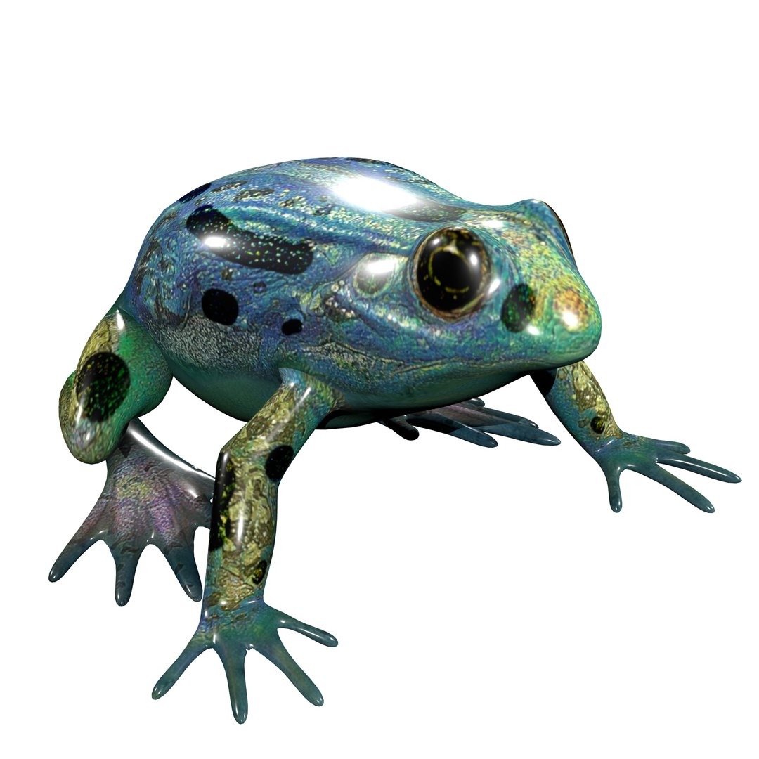Poison Dart Frog Rig Low-poly 3D model https://p.turbosquid.com/ts-thumb/Of/03ChgK/Id/render_1_0001/jpg/1762193416/1920x1080/fit_q87/c5225f44b30949f51163244f89c2ef017f49063a/render_1_0001.jpg