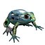 Grenouille à flèches empoisonnées (modèle low-poly)