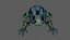 Grenouille à flèches empoisonnées (modèle low-poly)