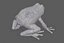Grenouille à flèches empoisonnées (modèle low-poly)