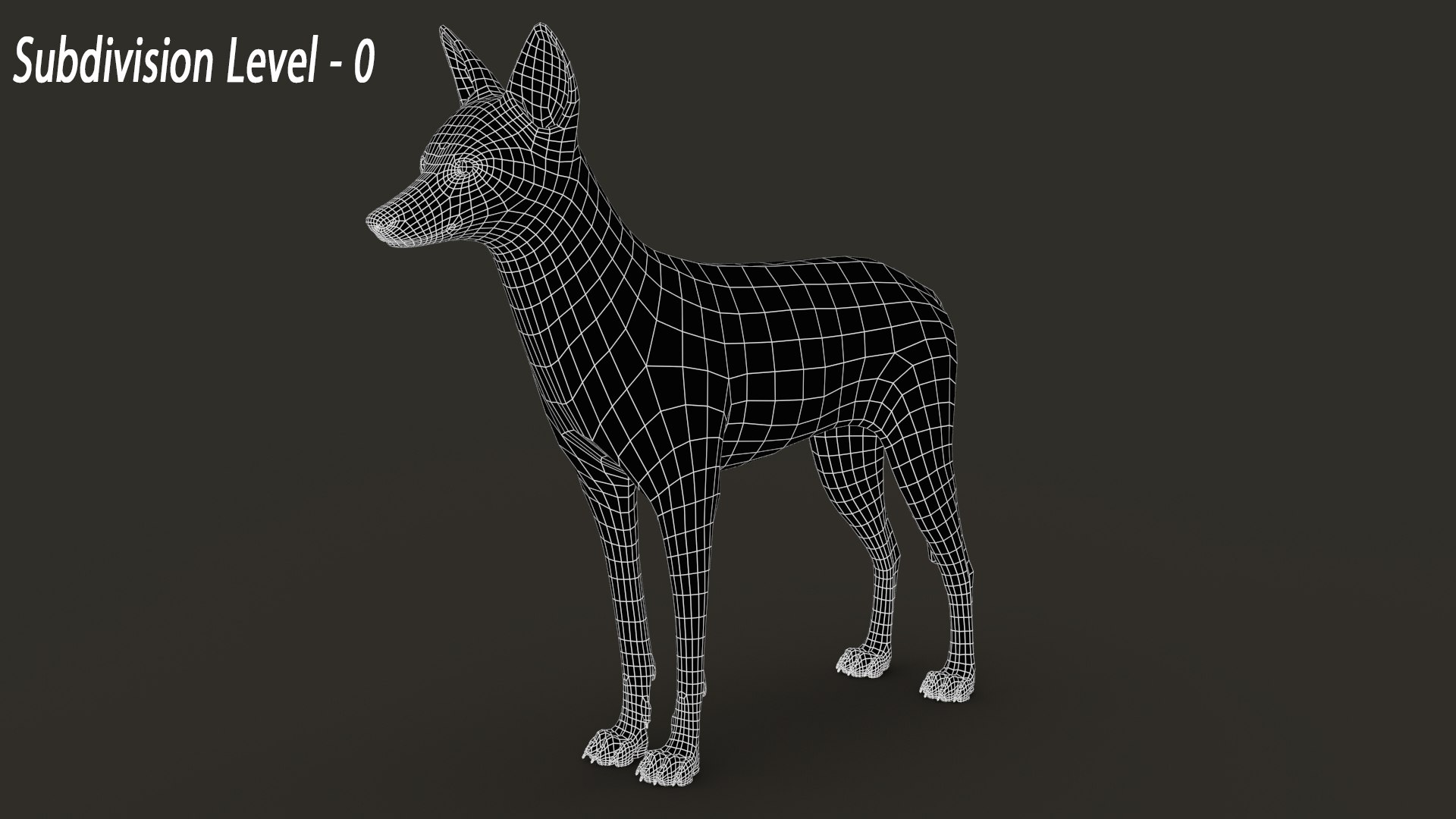 3D model Black Backed Jackal FUR https://p.turbosquid.com/ts-thumb/Of/2IE061/T8/wire_01/jpg/1676727907/1920x1080/fit_q87/bcbe8bb2f19e4f7a18f375a9fddd12151d1b15ba/wire_01.jpg