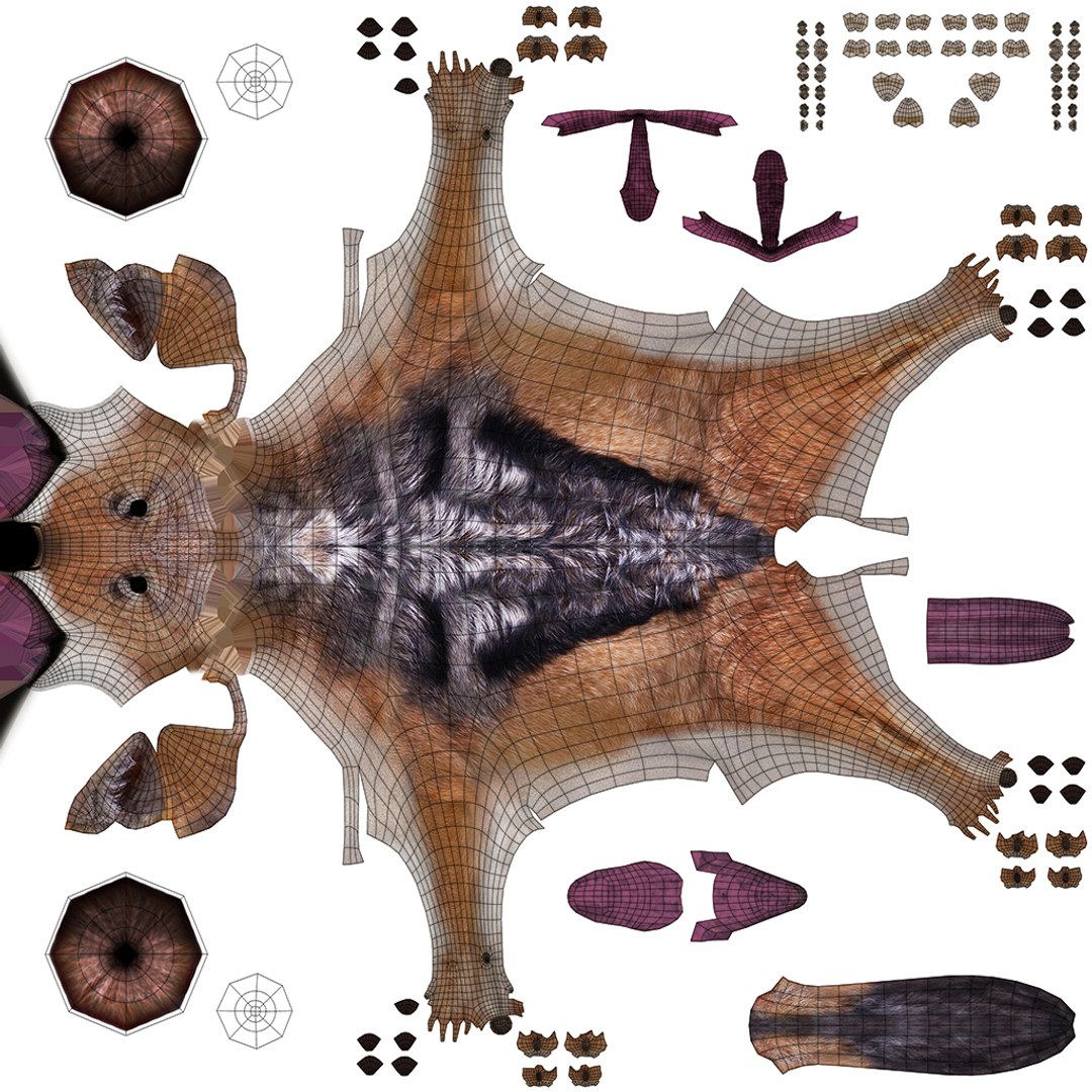 3D model Black Backed Jackal FUR https://p.turbosquid.com/ts-thumb/Of/2IE061/ib/uv/jpg/1676727906/1920x1080/fit_q87/8ed4bbc6324840bedbf7fe7bd36e41134e9f96a4/uv.jpg