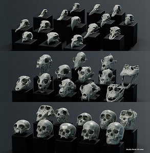 Skulls Pack 3 in 1