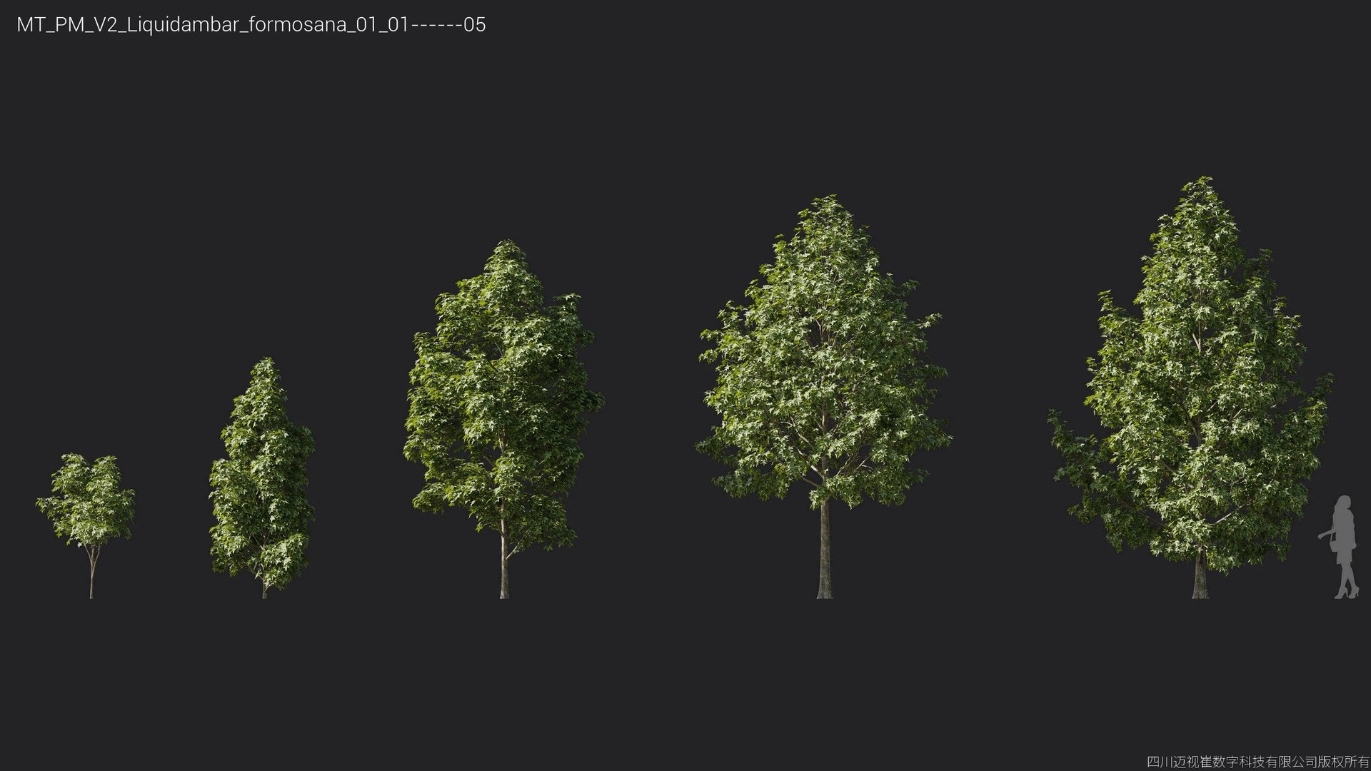 Plant Models Vol 2 - Mesh model https://p.turbosquid.com/ts-thumb/Of/6ljLZy/9D/mt_pm_v2_liquidambar_formosana_01_0105/jpg/1781142309/1920x1080/fit_q87/2e6c51dacc2a9d6e2b324e99e77e2a1171758bef/mt_pm_v2_liquidambar_formosana_01_0105.jpg