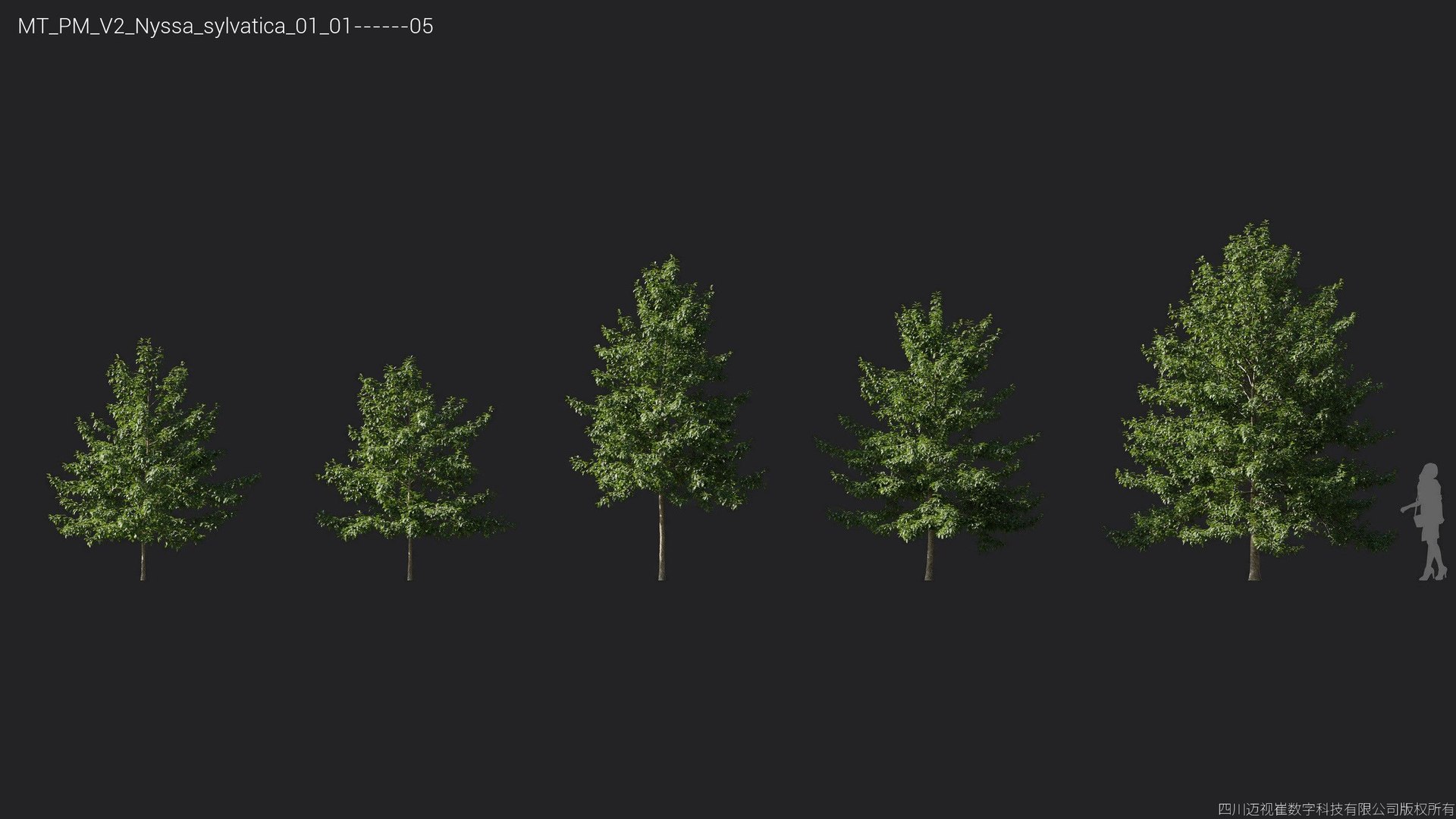 Plant Models Vol 2 - Mesh model https://p.turbosquid.com/ts-thumb/Of/6ljLZy/im/mt_pm_v2_nyssa_sylvatica_01_0105/jpg/1781142312/1920x1080/fit_q87/b1f8a081084b167ff714ca34d4e81f33f078f649/mt_pm_v2_nyssa_sylvatica_01_0105.jpg