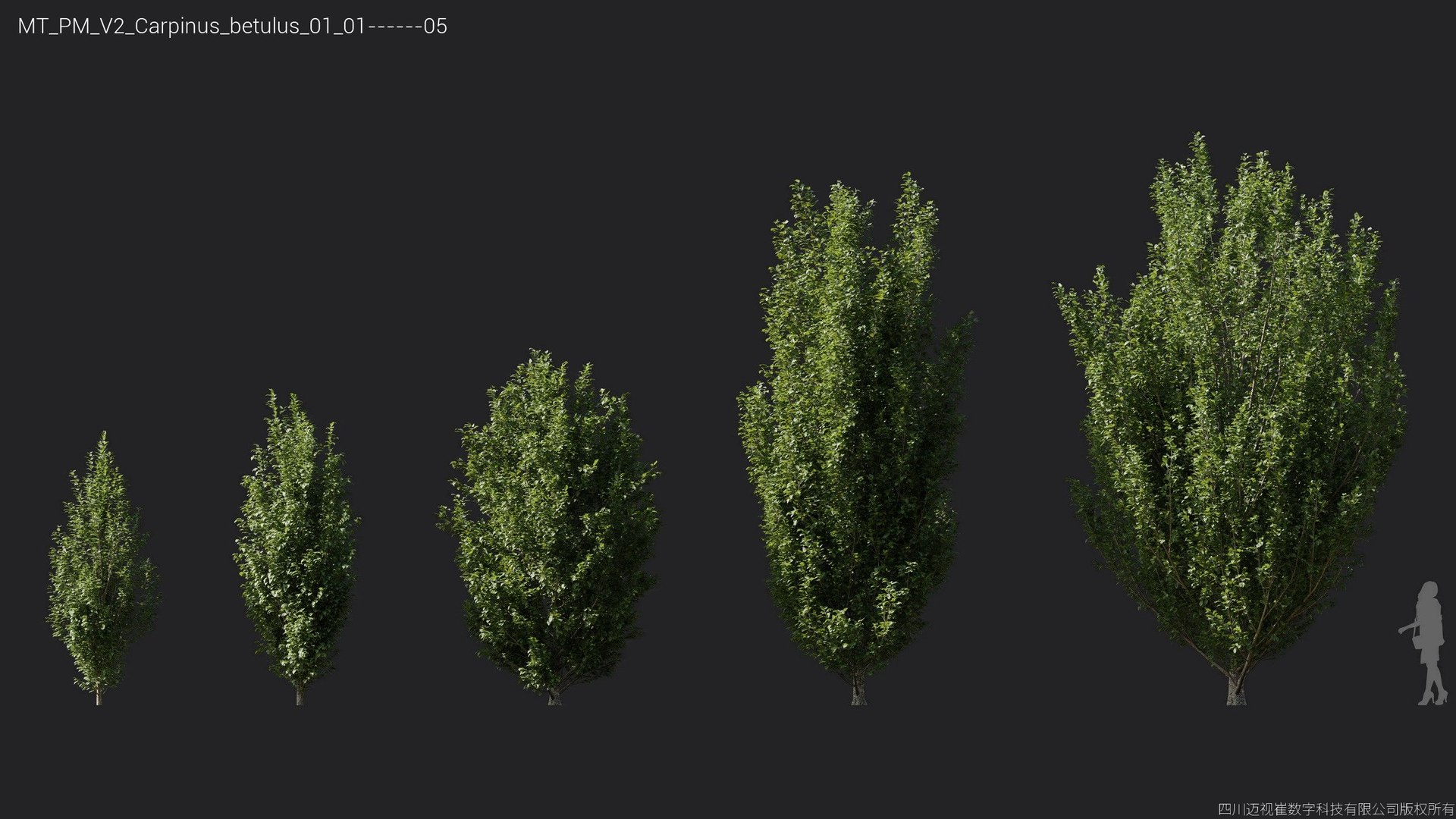 Plant Models Vol 2 - Mesh model https://p.turbosquid.com/ts-thumb/Of/6ljLZy/sE/mt_pm_v2_carpinus_betulus_01_0105/jpg/1781142306/1920x1080/fit_q87/7d0edb4df3082ff7be856a46b1441e0bf3e252a7/mt_pm_v2_carpinus_betulus_01_0105.jpg