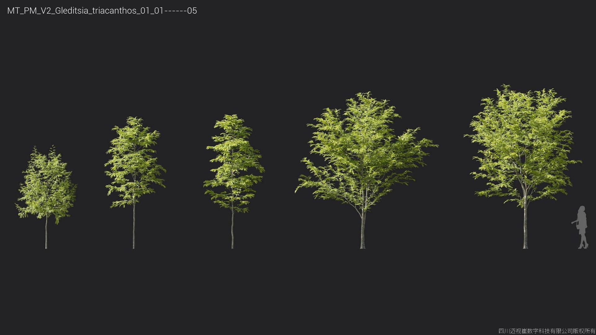 Plant Models Vol 2 - Mesh model https://p.turbosquid.com/ts-thumb/Of/6ljLZy/tt/mt_pm_v2_gleditsia_triacanthos_01_0105/jpg/1781142308/1920x1080/fit_q87/3a89a42a7f28d538d222438026fbbe926e13eca1/mt_pm_v2_gleditsia_triacanthos_01_0105.jpg