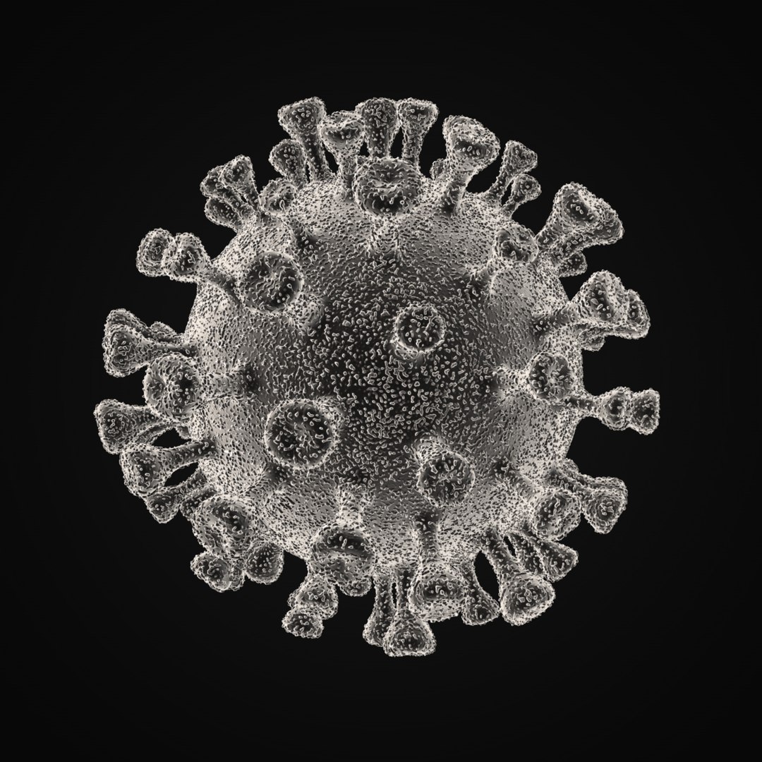 coronavirus 2019-ncov sars-cov-2 3D model https://p.turbosquid.com/ts-thumb/Of/BPDf6X/6fvEdgXH/2019ncov_0003/jpg/1584721827/1920x1080/fit_q87/70025bc56d47d0299ddb7db63d6946bc84e0139d/2019ncov_0003.jpg