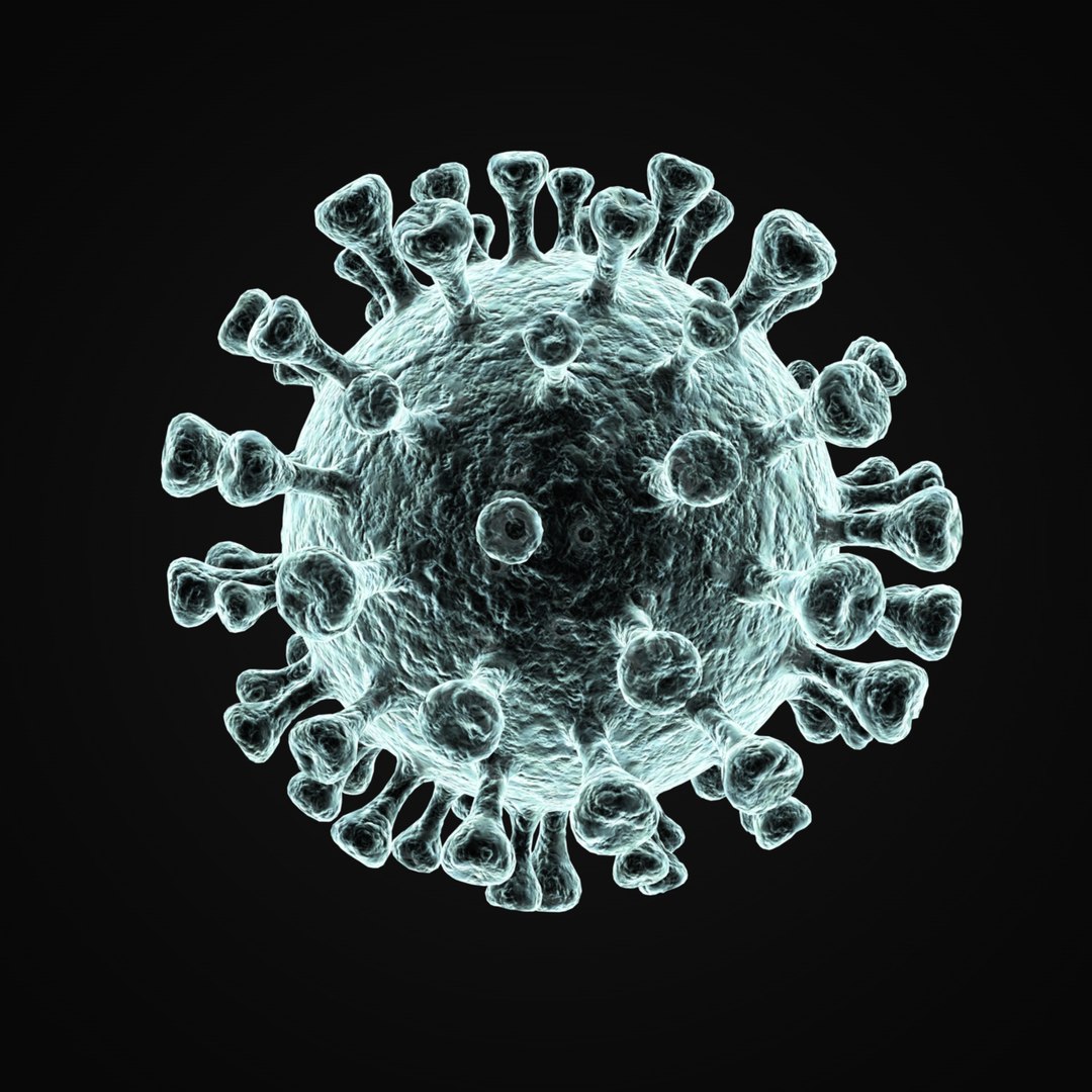 coronavirus 2019-ncov sars-cov-2 3D model https://p.turbosquid.com/ts-thumb/Of/BPDf6X/QTbjbmNX/2019ncov_0008/jpg/1584721826/1920x1080/fit_q87/e145b18e4197881ff48ba798e0714a76e4281381/2019ncov_0008.jpg