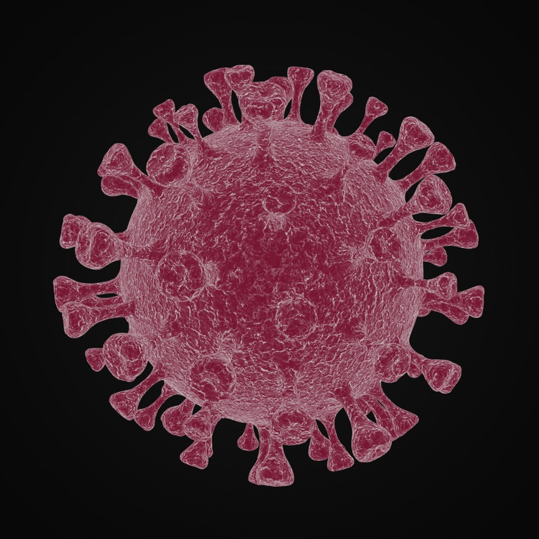 coronavirus 2019-ncov sars-cov-2 3D model https://p.turbosquid.com/ts-thumb/Of/BPDf6X/hsst3KAg/2019ncov_0005/jpg/1584721840/1920x1080/fit_q87/07e827341e24ca2227d0838fd6a39dc472c3249c/2019ncov_0005.jpg