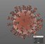 Coronavirus 2019-nCoV SARS-CoV-2