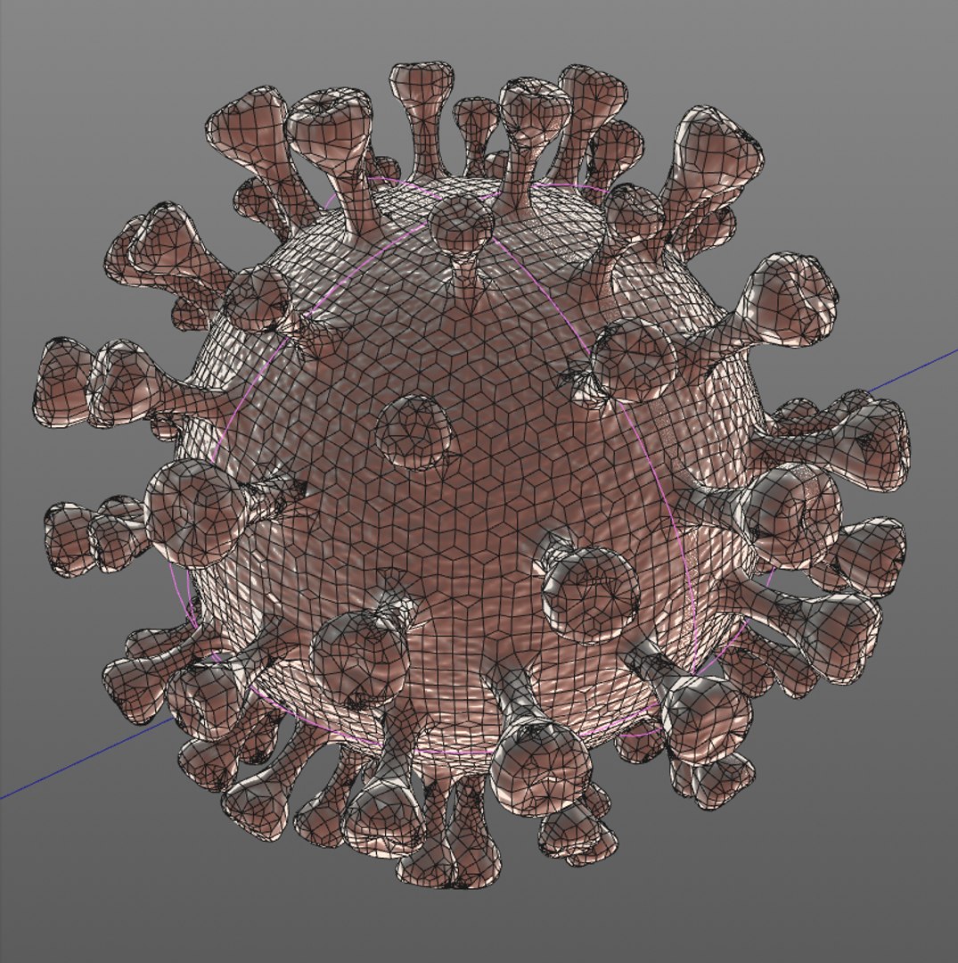 coronavirus 2019-ncov sars-cov-2 3D model https://p.turbosquid.com/ts-thumb/Of/BPDf6X/ury44whS/wire/png/1584721871/1920x1080/fit_q87/d221932c8e2e6abd7f24651580509f2805942b24/wire.jpg