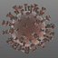 Coronavirus 2019-nCoV SARS-CoV-2