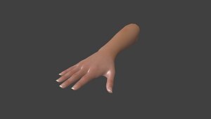 3D rigged woman hand