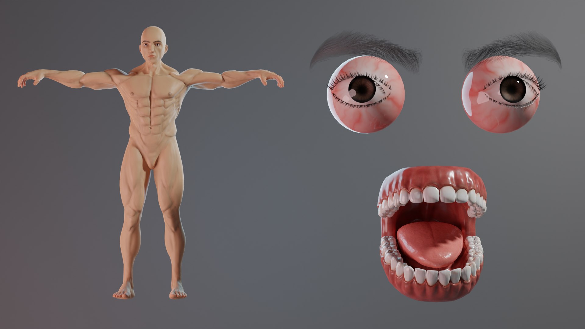 Muscular Man in Suit Rigged and Game-Ready 3D https://p.turbosquid.com/ts-thumb/Of/Bw1ZyD/Ov/render14/png/1738858141/1920x1080/fit_q87/972c4801c03444387a70b0823b8c2dfd717bc699/render14.jpg