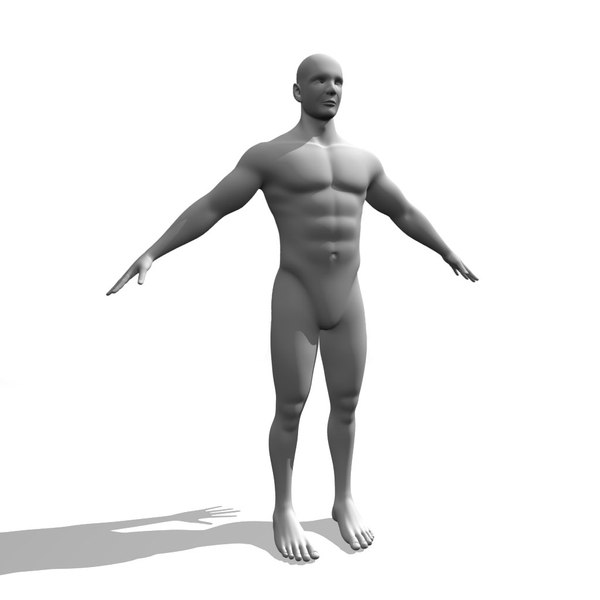 3D модель Человек Человек База - TurboSquid 1456072