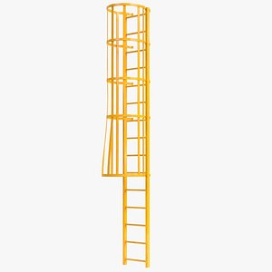 Modular ladder with cage
