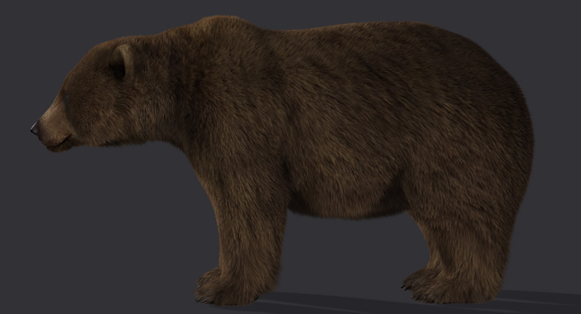 3d model of bear rigged 2 fur https://p.turbosquid.com/ts-thumb/Of/bdWWsy/GOyoKi9c/dbrown02/jpg/1457397926/1920x1080/fit_q87/ada0a473c6e3a9f18d2ebd78f67dcdeb194db0e7/dbrown02.jpg