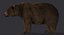 熊（2）（布朗）（钻机）（毛皮）