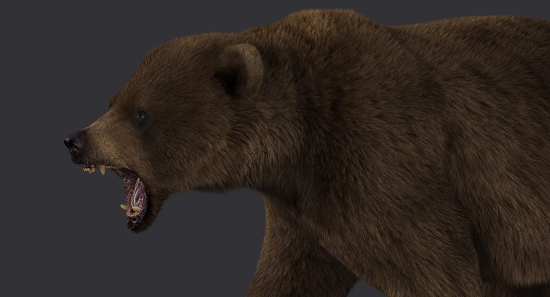 3d model of bear rigged 2 fur https://p.turbosquid.com/ts-thumb/Of/bdWWsy/GTRZZViA/rig1480c/jpg/1457399671/1920x1080/fit_q87/13810a194dd200e51b730a53a6e17252261bc5e7/rig1480c.jpg