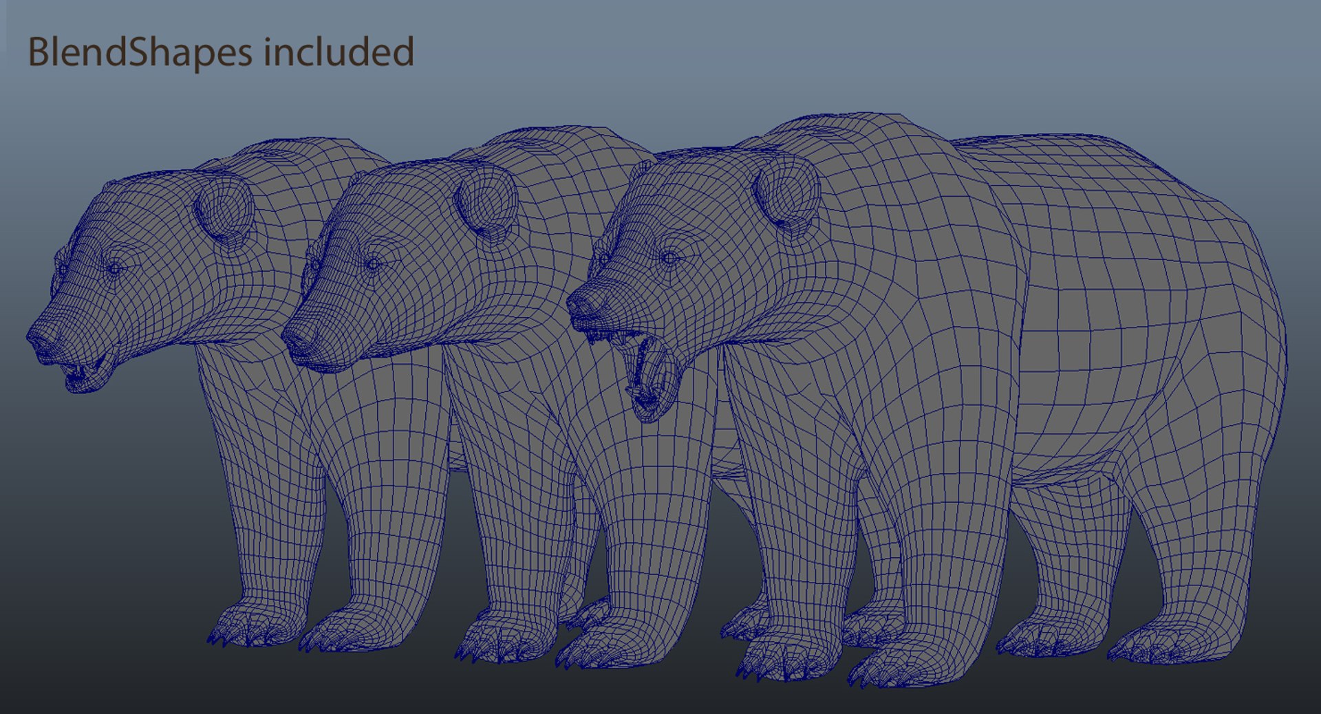 3d model of bear rigged 2 fur https://p.turbosquid.com/ts-thumb/Of/bdWWsy/egaM4mfe/screen1/jpg/1457397926/1920x1080/fit_q87/3d68231795c99807329edd972e003500a5fdd03c/screen1.jpg