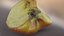 Bitten Apple