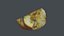 Bitten Apple
