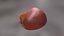 Bitten Apple